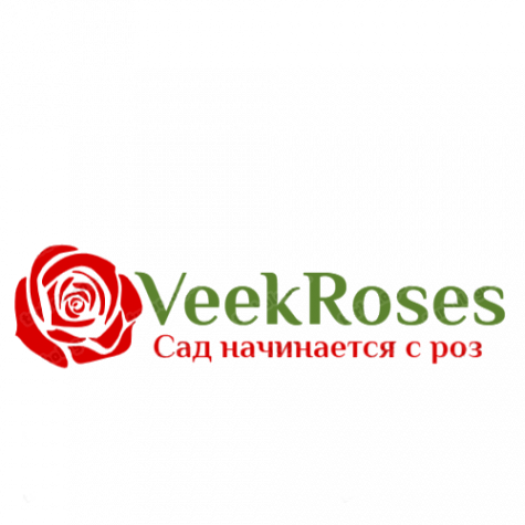 Логотип компании питомник роз "VeekRoses"